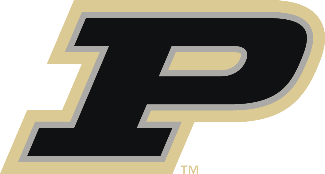 Purdue Boilermakers 2012-Pres Alternate Logo iron on transfers for clothing